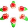 Róża zestaw Aga(czerwony cieniowany) Średnica róży:3,5cm