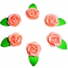 Róża zestaw Aga(łososiowy jasny) Średnica róży:3,5cm