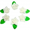 Azalia zestaw(biały) Średnica kwiatu:4cm