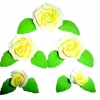 Róża Fantazja zestaw(zielony cieniowany) Średnice róż:od 2cm do 5cm