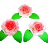 Róża Fantazja 3 (różowa cieniowana) Średnica róży:5cm