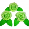 Róża Fantazja 3 (zielona) Średnica róży:5cm