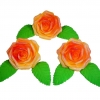 Róża Fantazja 3 (herbaciany) Średnica róży:5cm