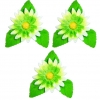 Gerber zestaw(zielony) Średnica kwiatu:5,5cm