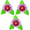 Gerber zestaw(fioletowy) Średnica kwiatu:5,5cm