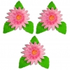 Gerber zestaw(różowy) Średnica kwiatu:5,5cm
