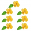 Irys zestaw(żółty ciemny) Średnica kwiatu:4cm