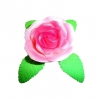 Róża M1(różowa cieniowana) Średnica róży:7cm