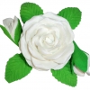 Róża R1(biała) Średnica róży:8cm