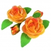 Róża zestaw R2(herbaciany) Średnica róży:6cm