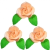Róża zestaw R3(łososiowy) Średnica róży:5,5cm