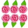 Róża zestaw R6(różowy ciemny) Średnica róży:5cm