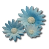Rumianek(20 szt. w opak.)(niebieski) Średnice kwiatu:od 3,5cm do 6cm